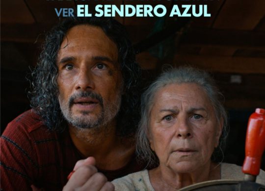 Card Instagram vertical